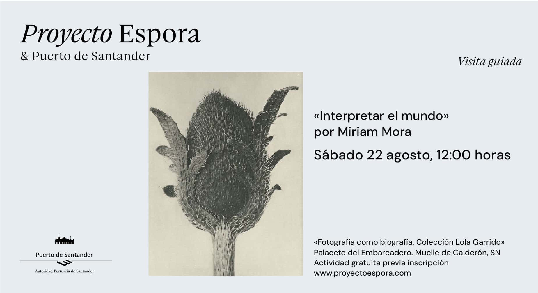 Interpretar el mundo, visita guiada a la exposición 'Fotografía como biografía. Colección Lola Garrido'