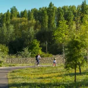 Recorrido naturalístico: Bizikleta ibilbidea - Hezegunea