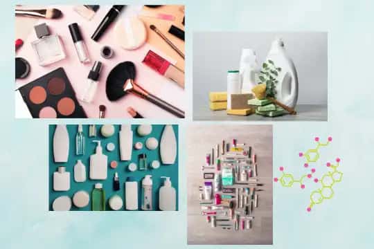 Charla: Disruptores endocrinos