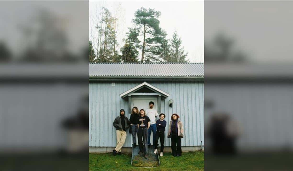 Brown Horse Live in Brighton