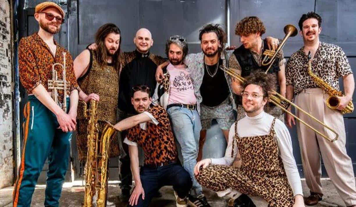 Town of Cats // Binbag Wisdom // Brassic Parp