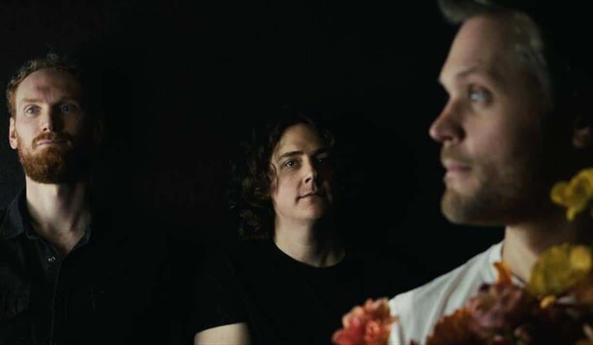 Quaking Aspens & Civil Villains