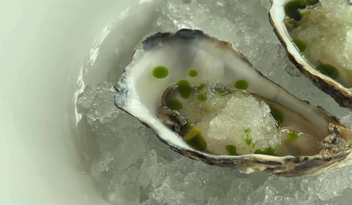 Oyster Opening Masterclass