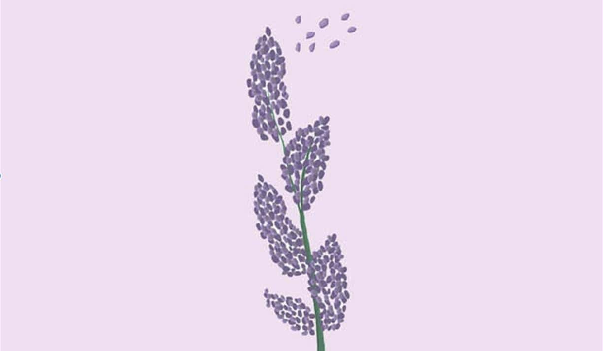 Your Lavender Life Part II: Secrets in the Woodwork