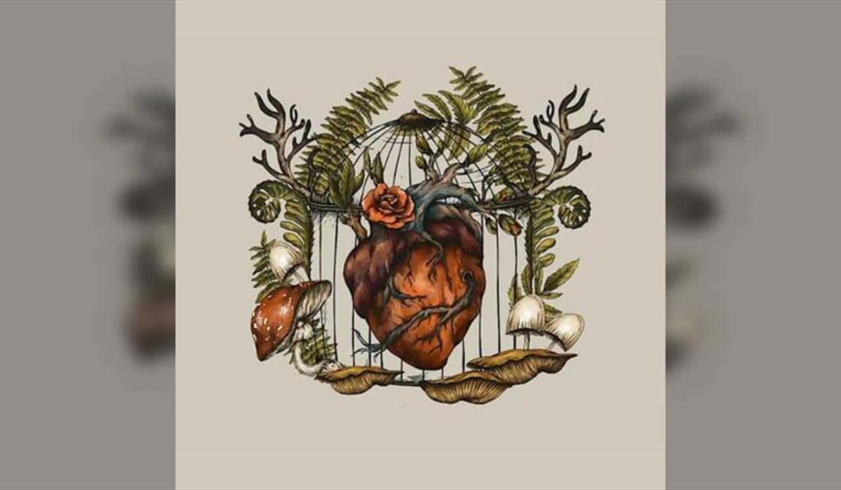 Sylvia Plath, Taylor Swift, & The Power Of The Witch Imagery