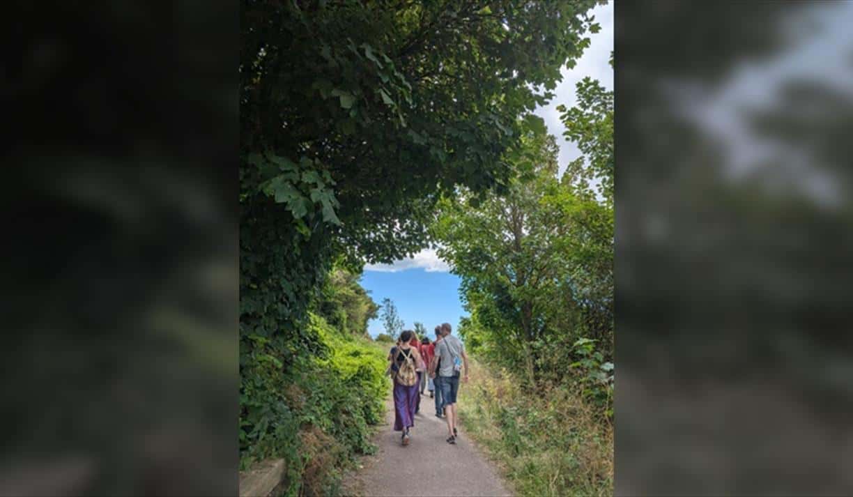 Nature Wellbeing Community Walk