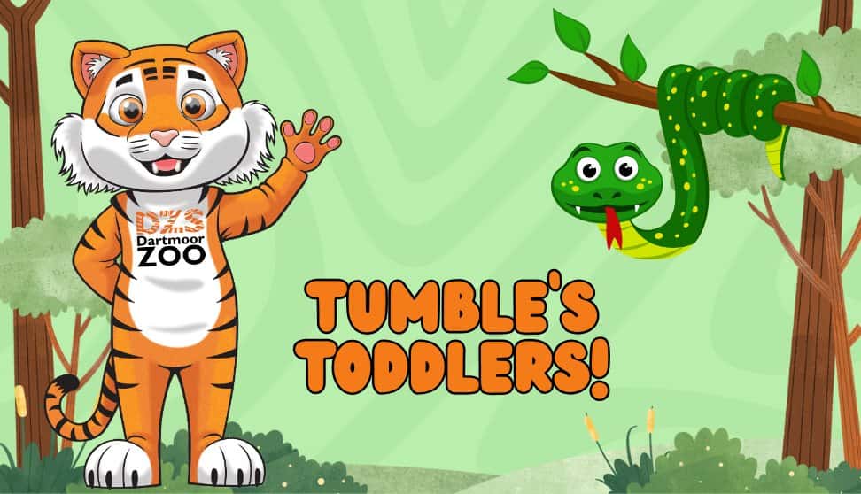 Tumble's Toddlers