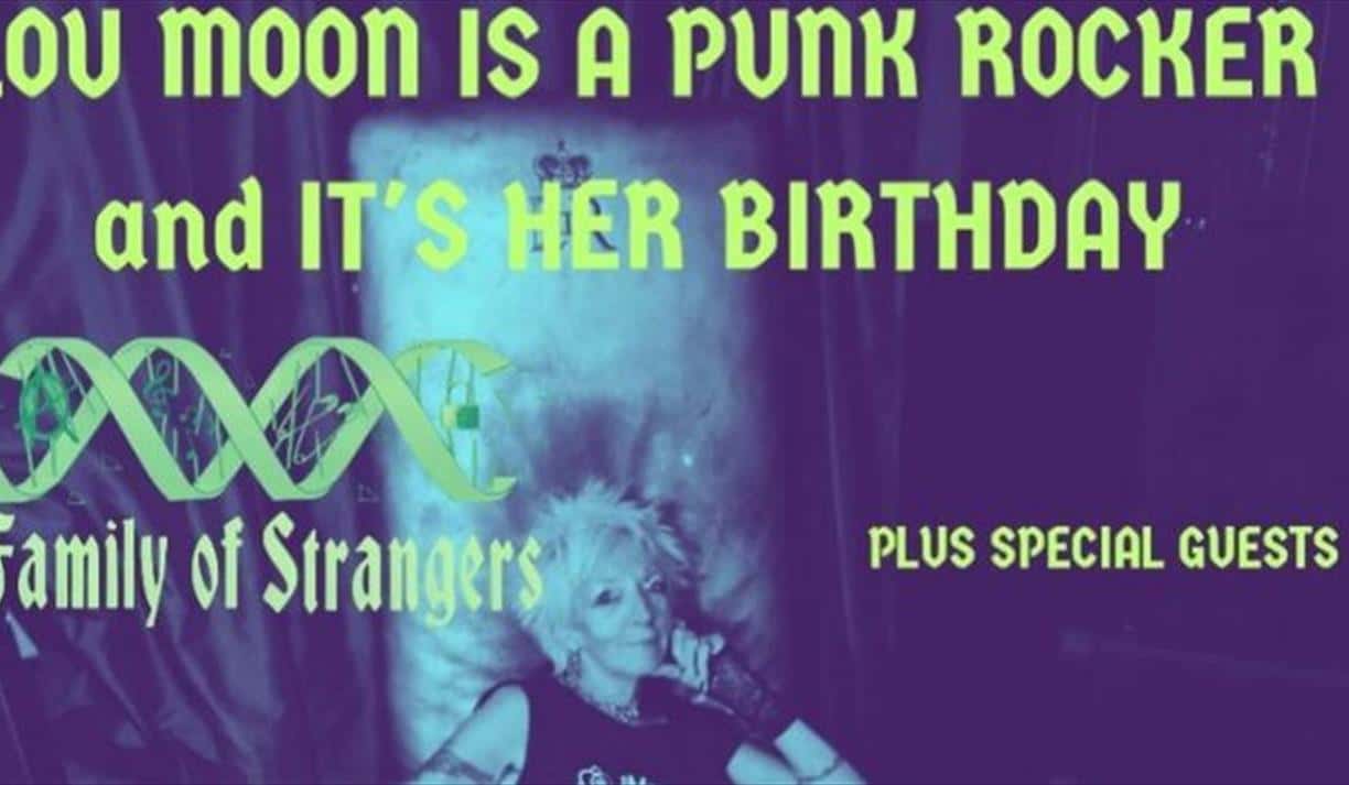 Lou Moon is a Punk Rocker, Punk Show: Family of Strangers plus Punking Special Guests