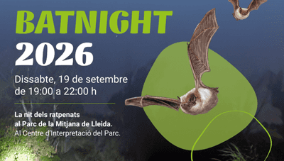 Batnight: la nit dels ratpenats