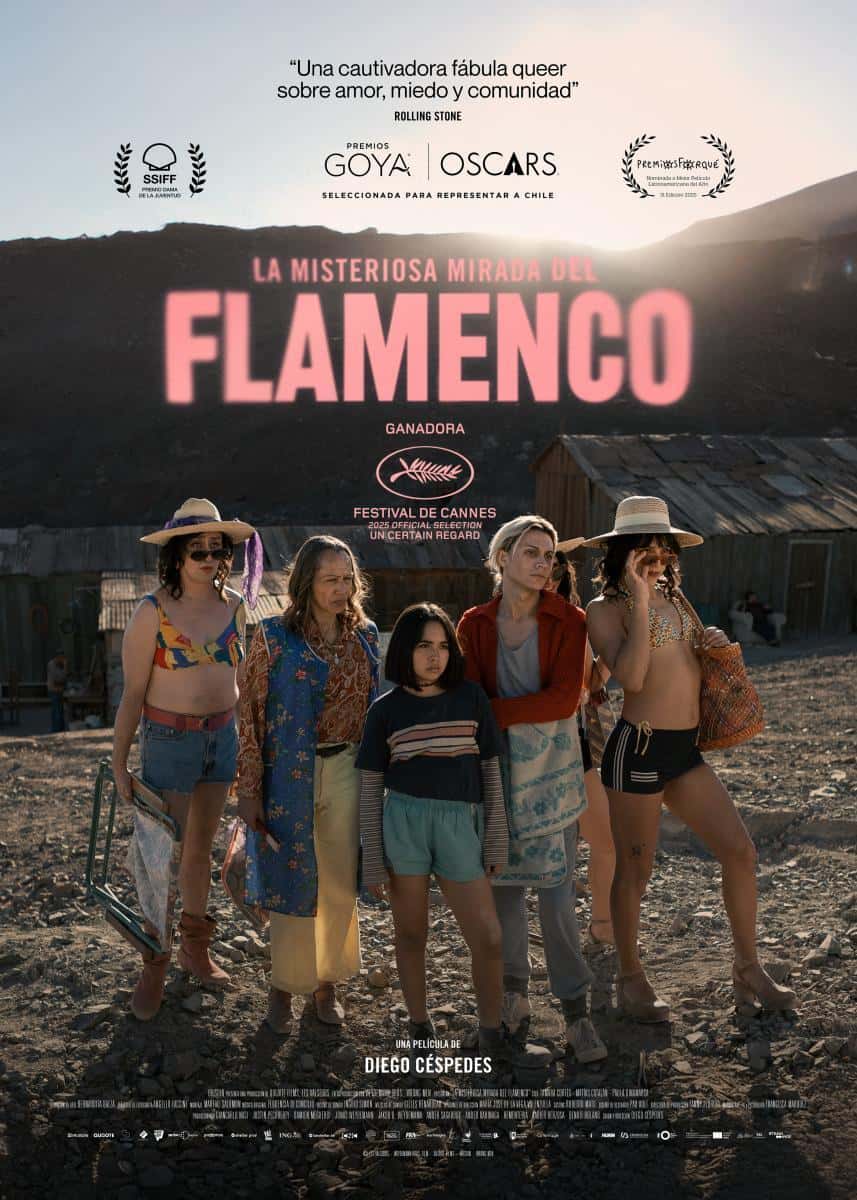 Cinema Lliure a la Platja | La misteriosa mirada del flamenco