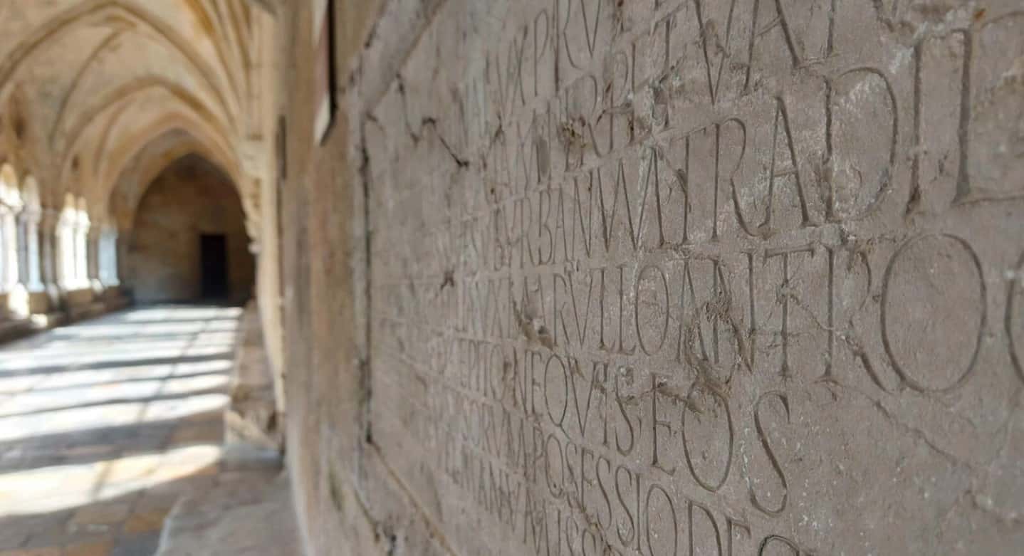 Lletres pètries, llengua, literatura i escriptura a la Catedral