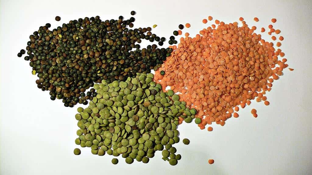La inteligencia natural de las legumbres: semillas con superpoderes que mueven el mundo