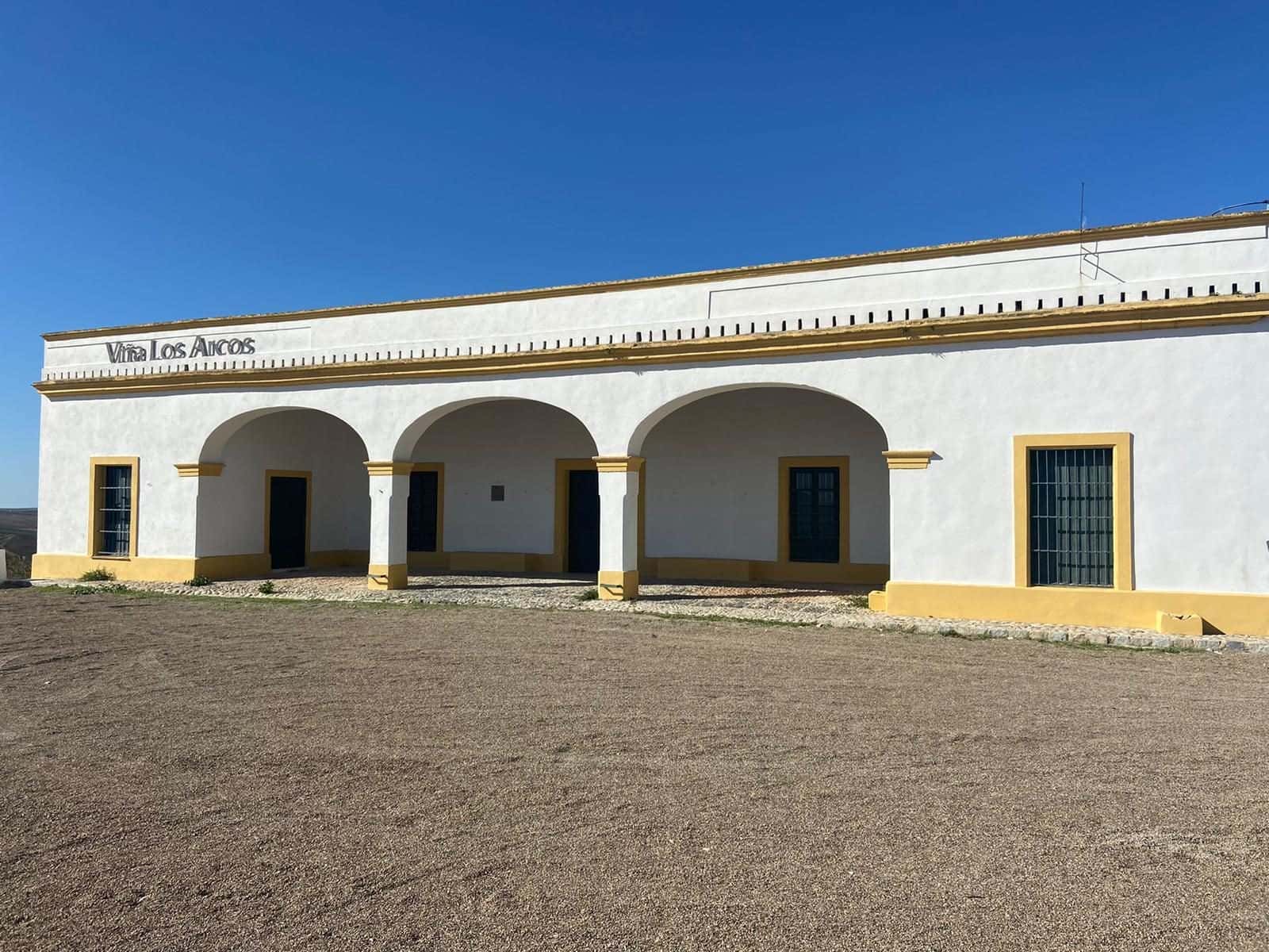 Estrellas entre viñas