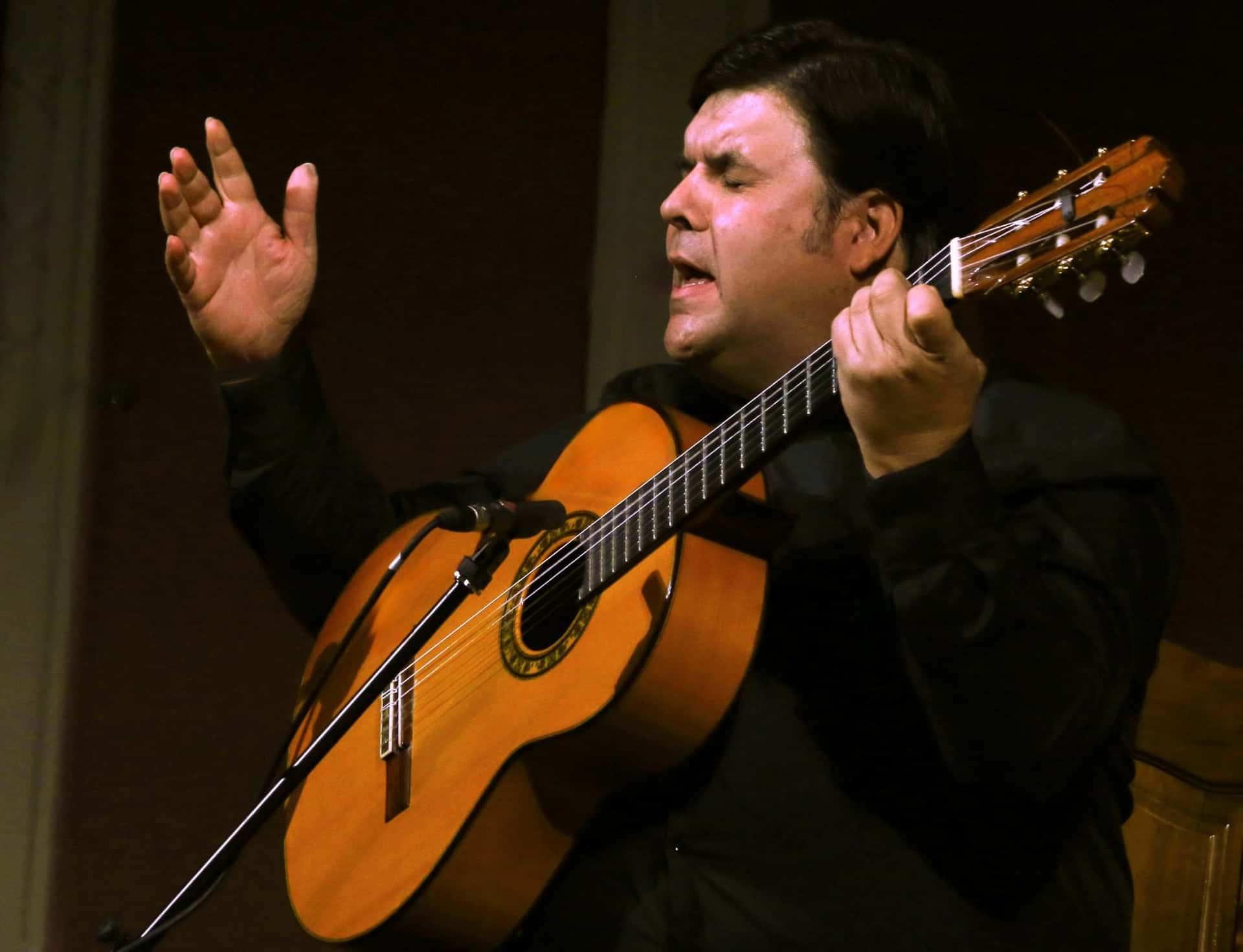 Cádiz Guitar Festival - actuación de Ricardo Fernández del Moral