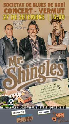 Concierto-vermú de blues con Mr. Shingles