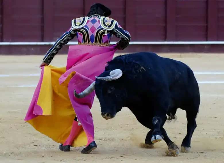 Corrida de toros - Fiestas Patronales de Móstoles