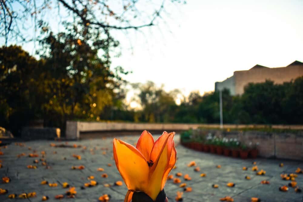 Momentos Alhambra Acustiquísimos 2025: El Otoño Suena en A Coruña