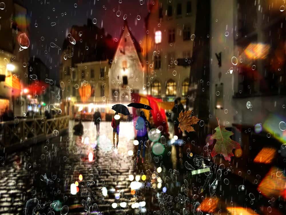 Pontevedra bajo la lluvia: cine de autor para noviembre