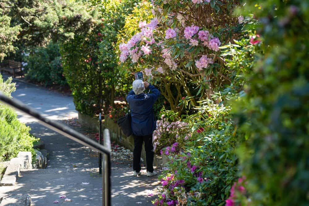 Paseo Botánico