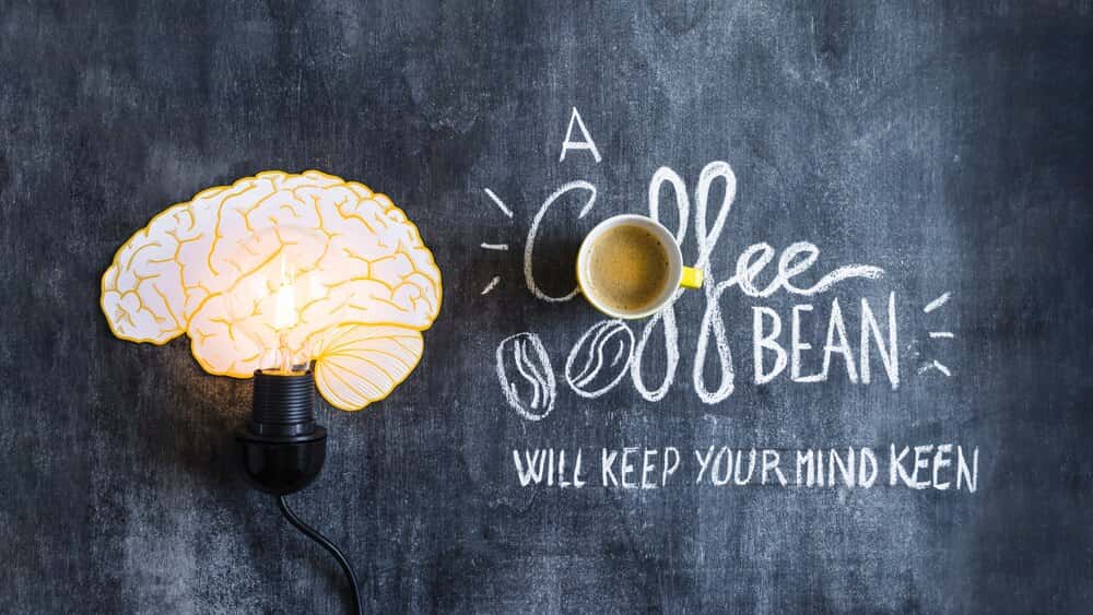 Neuroplasticidade e neuroxénese
