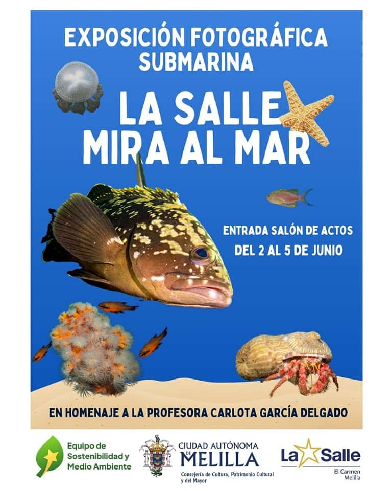 Exposición Fotográfica Submarina - La Salle Mira al Mar
