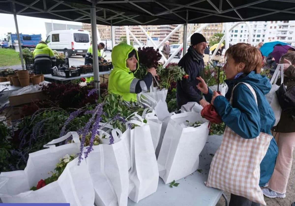 Reparto gratuito de flores y plantas