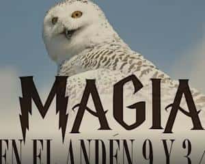 Cultura en Barrios. "Magia en el andén"