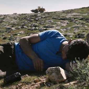 Proyección documental 'No Other Land'