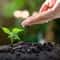 Itinerario ambiental: La Quinta entre flores y hojas