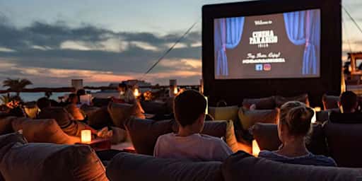 Outdoor Cinema at Petunia: The Hangover