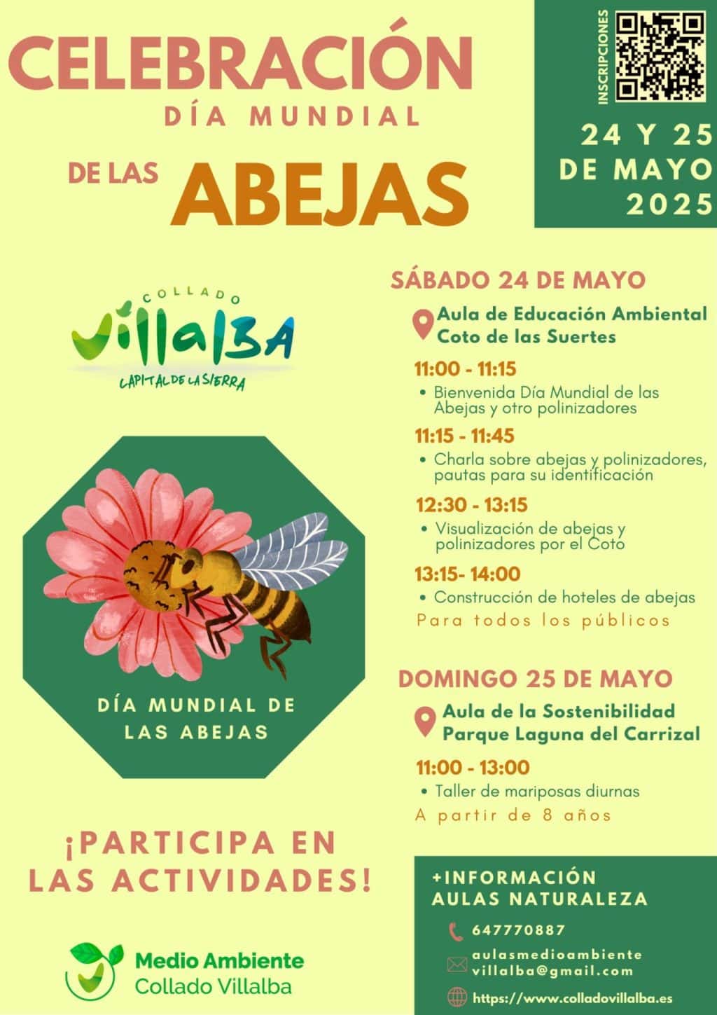 Taller de mariposas diurnas