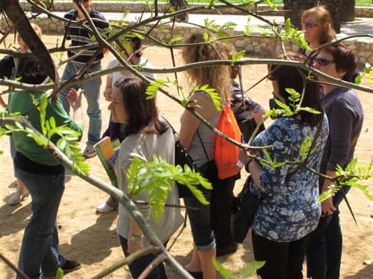 DIA INTERNACIONAL DELS MUSEUS. El Parc de Can Mercader. Una passejada pel jardí romàntic