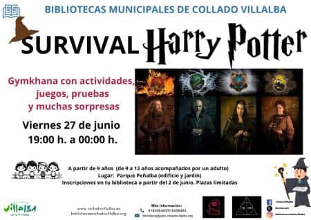 Survival Potter