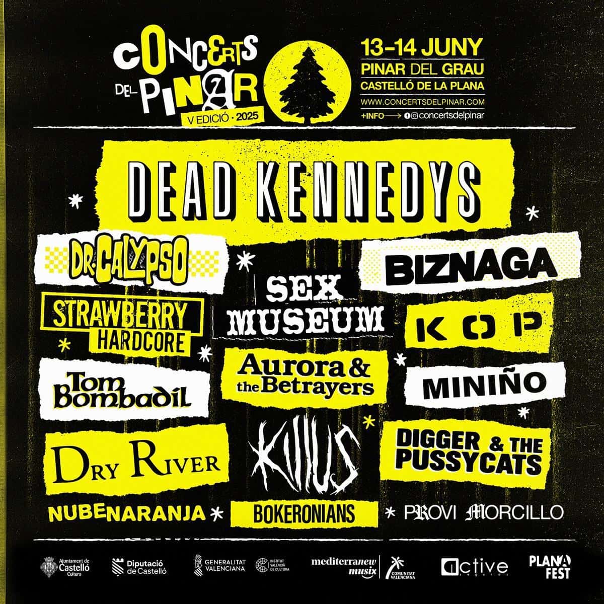 Concerts del Pinar 2025