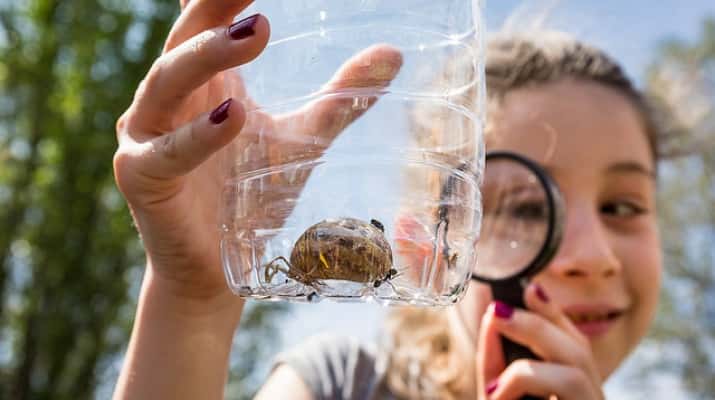 Jugateca a la platja: 8è Bioblitz Metropolità. Fem un cens col·lectiu