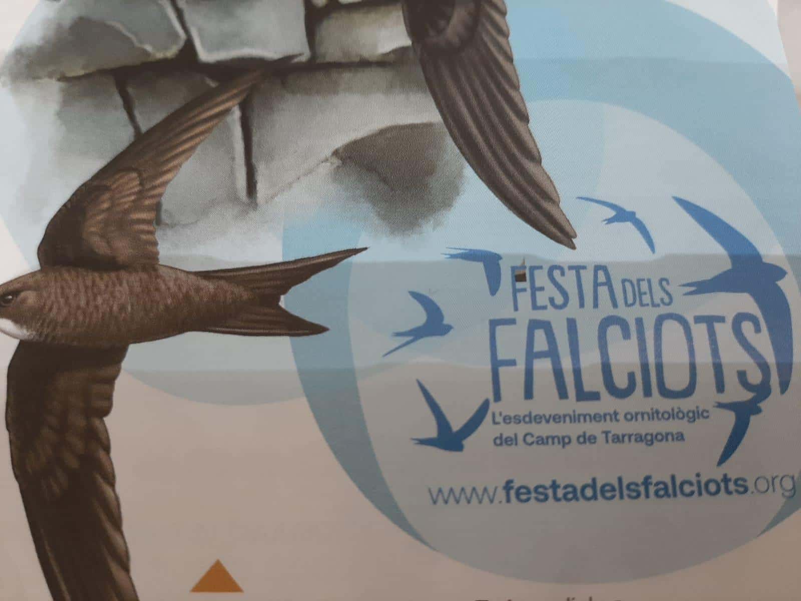 Taller de cajas nido y comederos