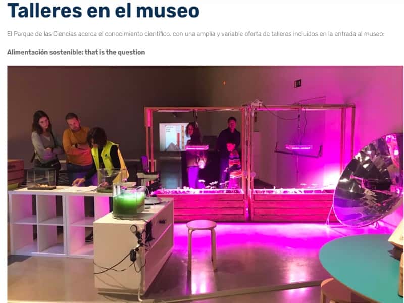 Talleres Didácticos de Verano en el Museo de Bellas Artes de Granada