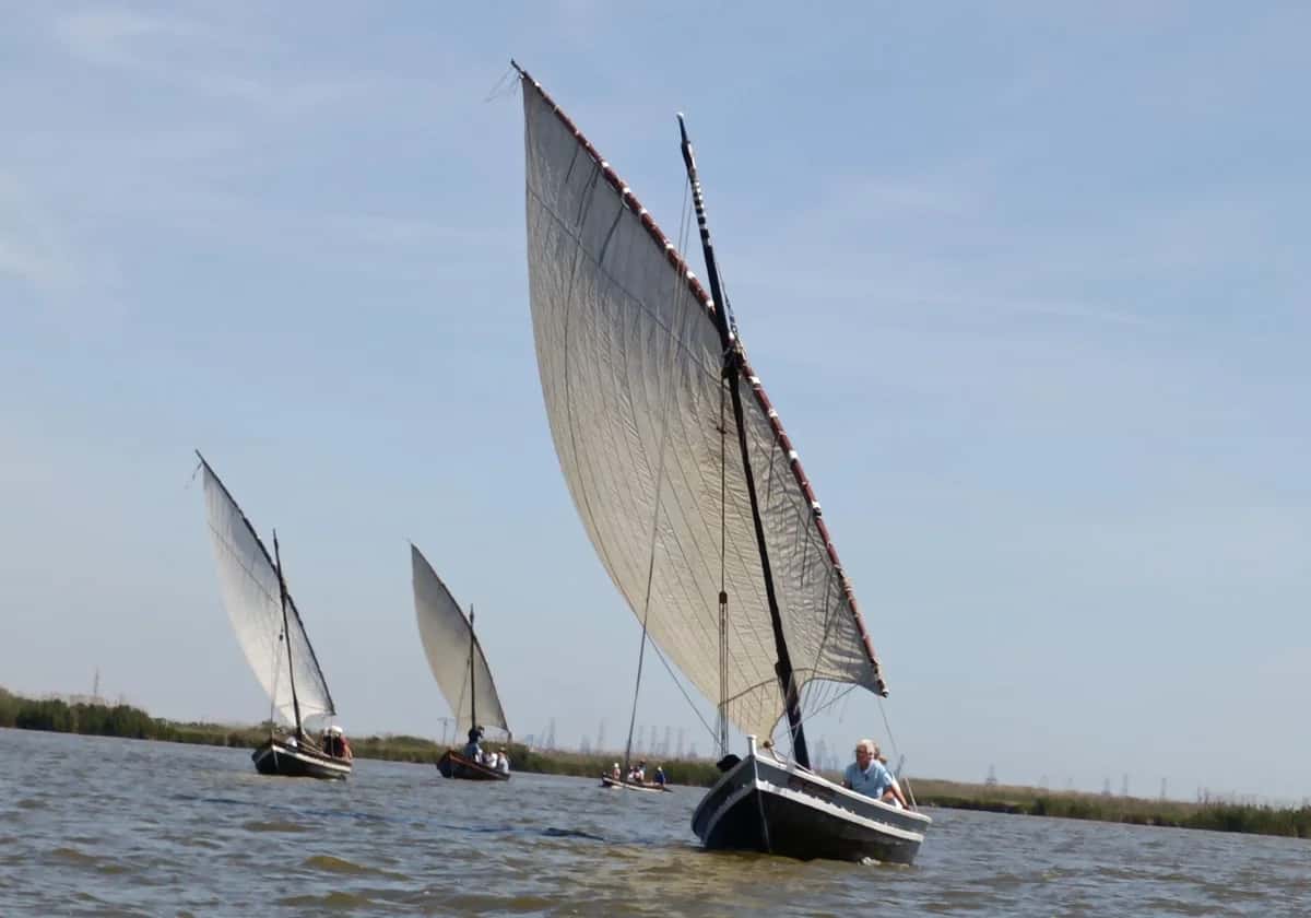 Exhibición de vela latina