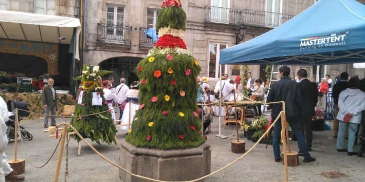 Festa dos Maios