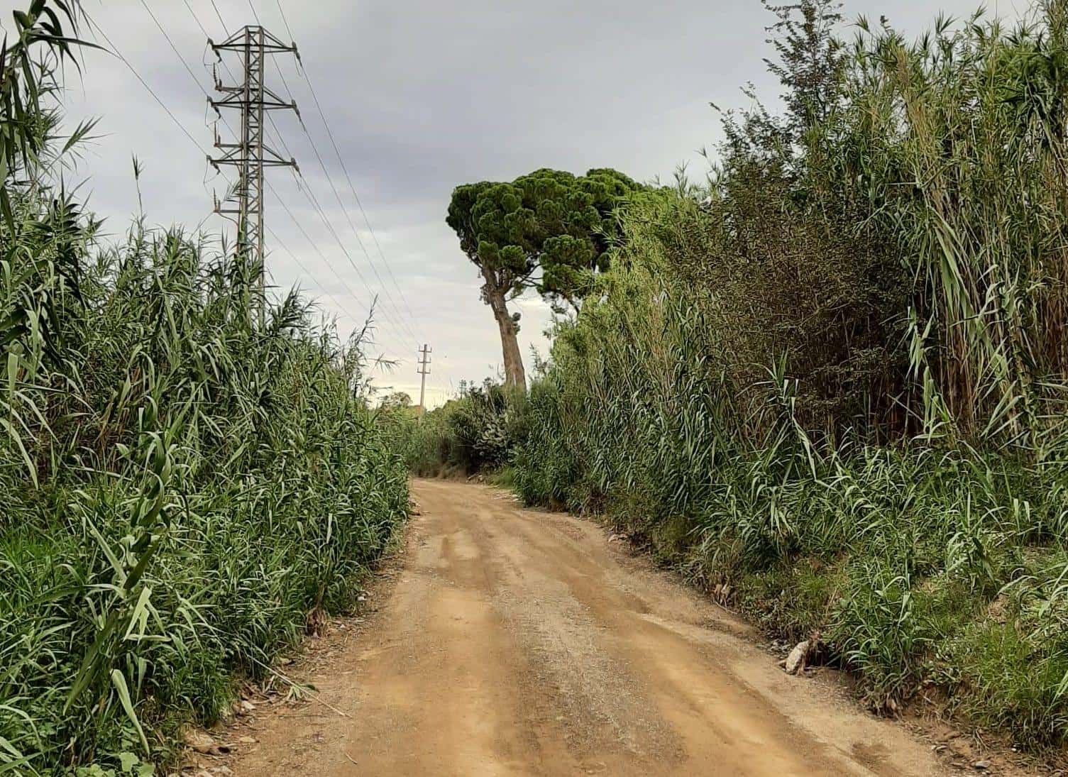 Paseo: de Mas Abelló en la riera de la Abeurada