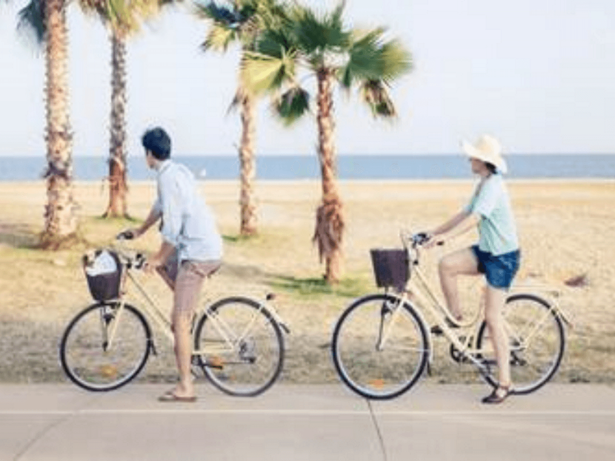 Dia de la Bicicleta