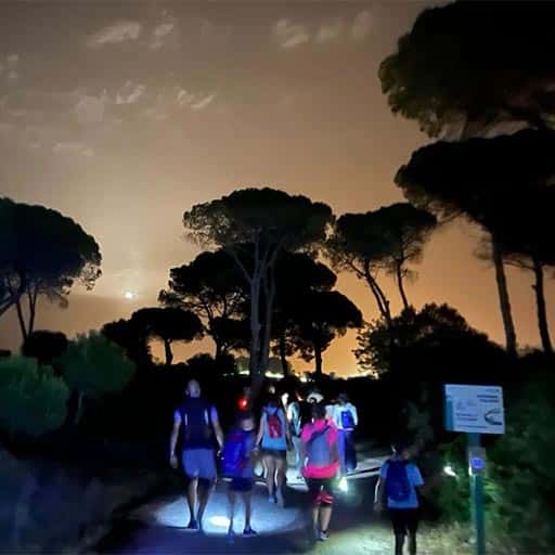 Ruta Nocturna Luna Llena en Los Toruños y Pinar de la Algaida