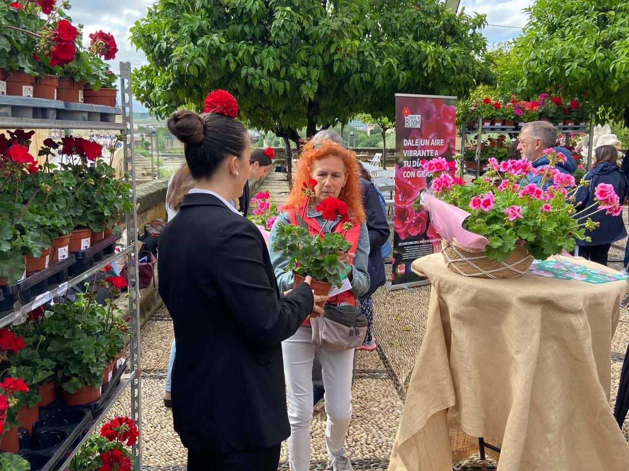 Plantas gratis para celebrar que Córdoba es la ciudad del geranio