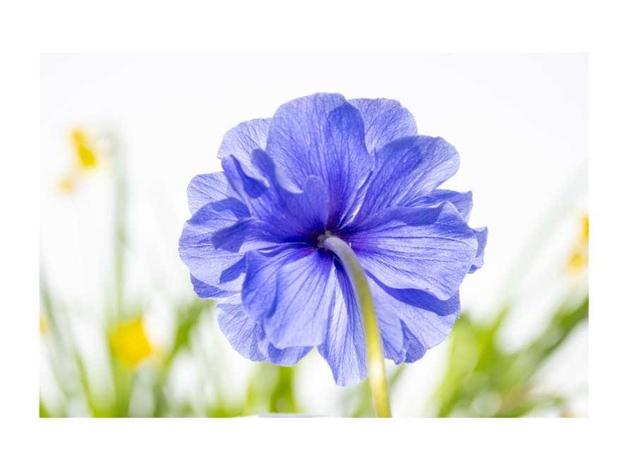 El Reverso. Exposición de fotografía.