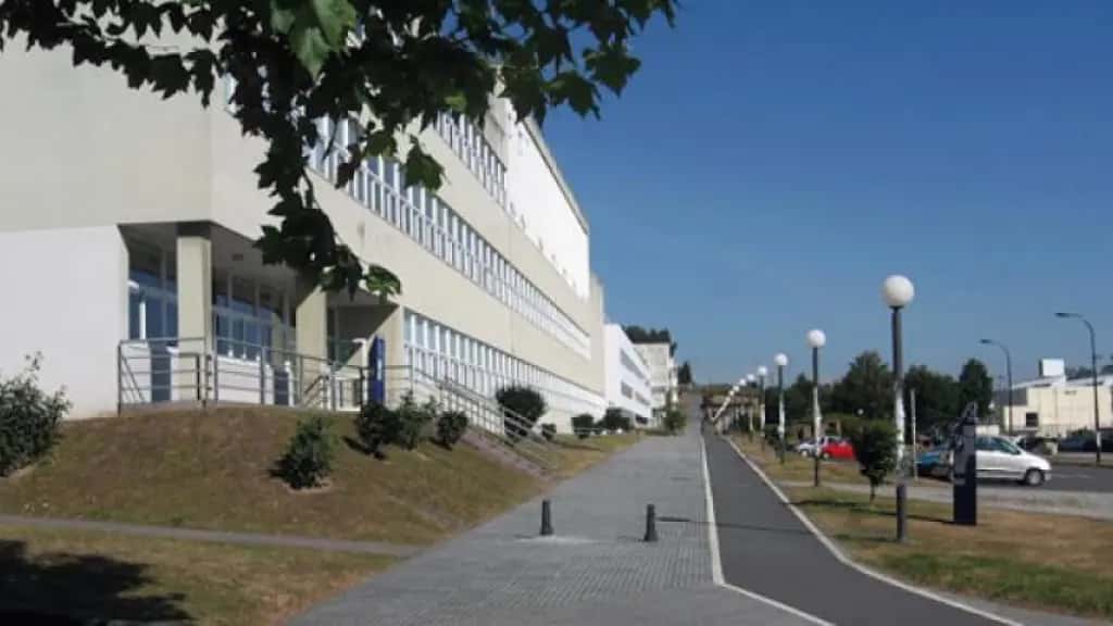 Festival Novo Enfoque