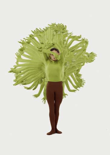 Be a Tree Now!