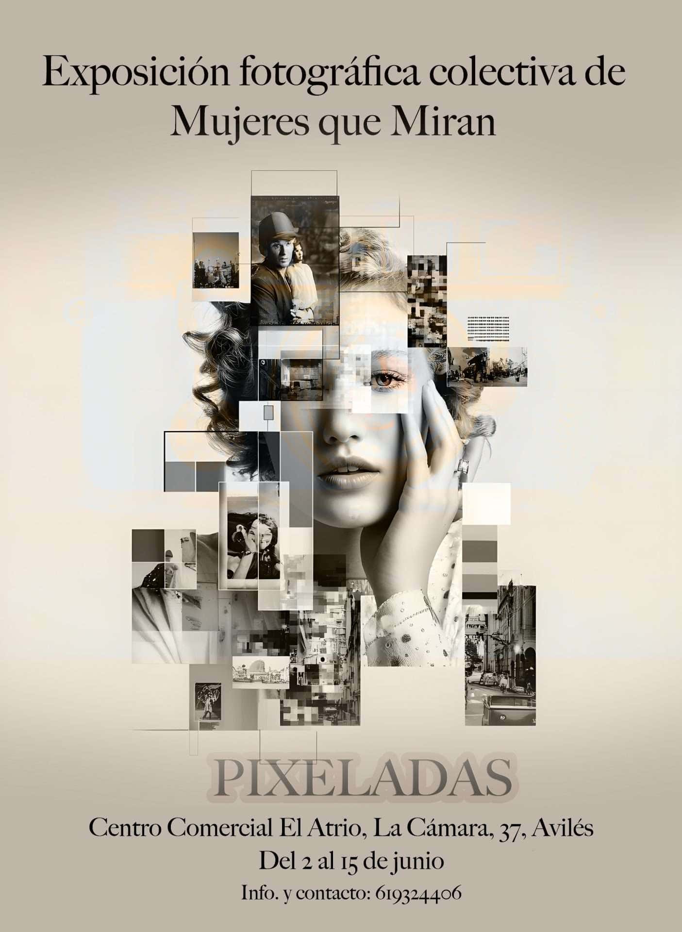 Exposición «Pixeladas»