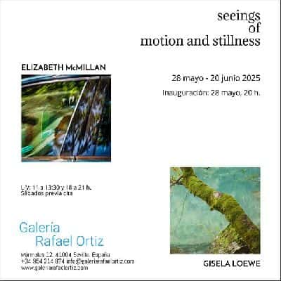 Seeings of motion and stillness