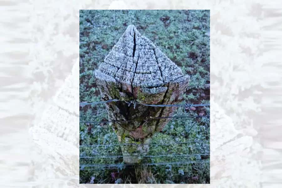 Tertulia literaria: Urrats galduen hotsa