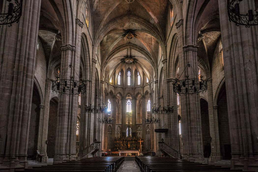 Visita a la part superior de l'Absis de la Catedral